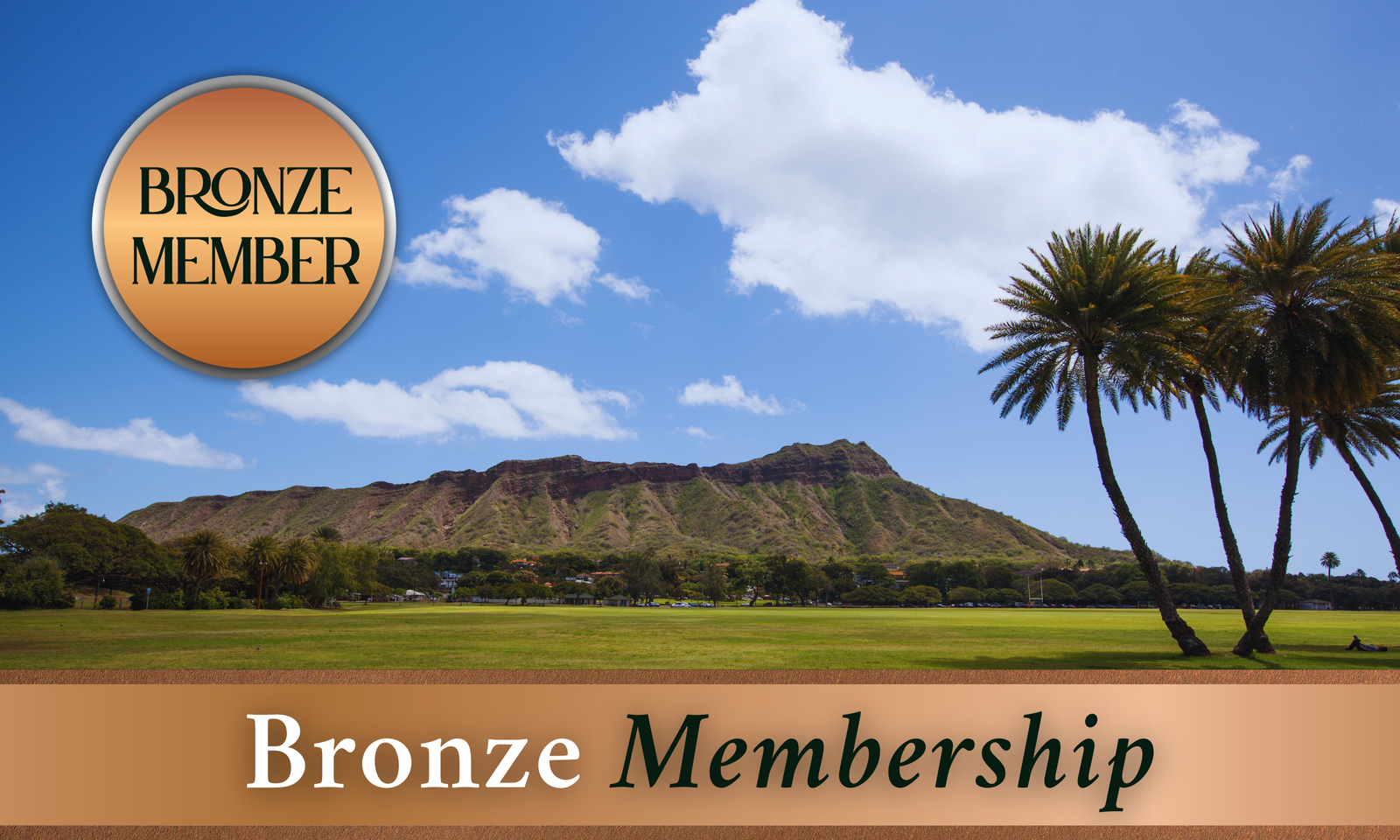 BRONZE MEMBER