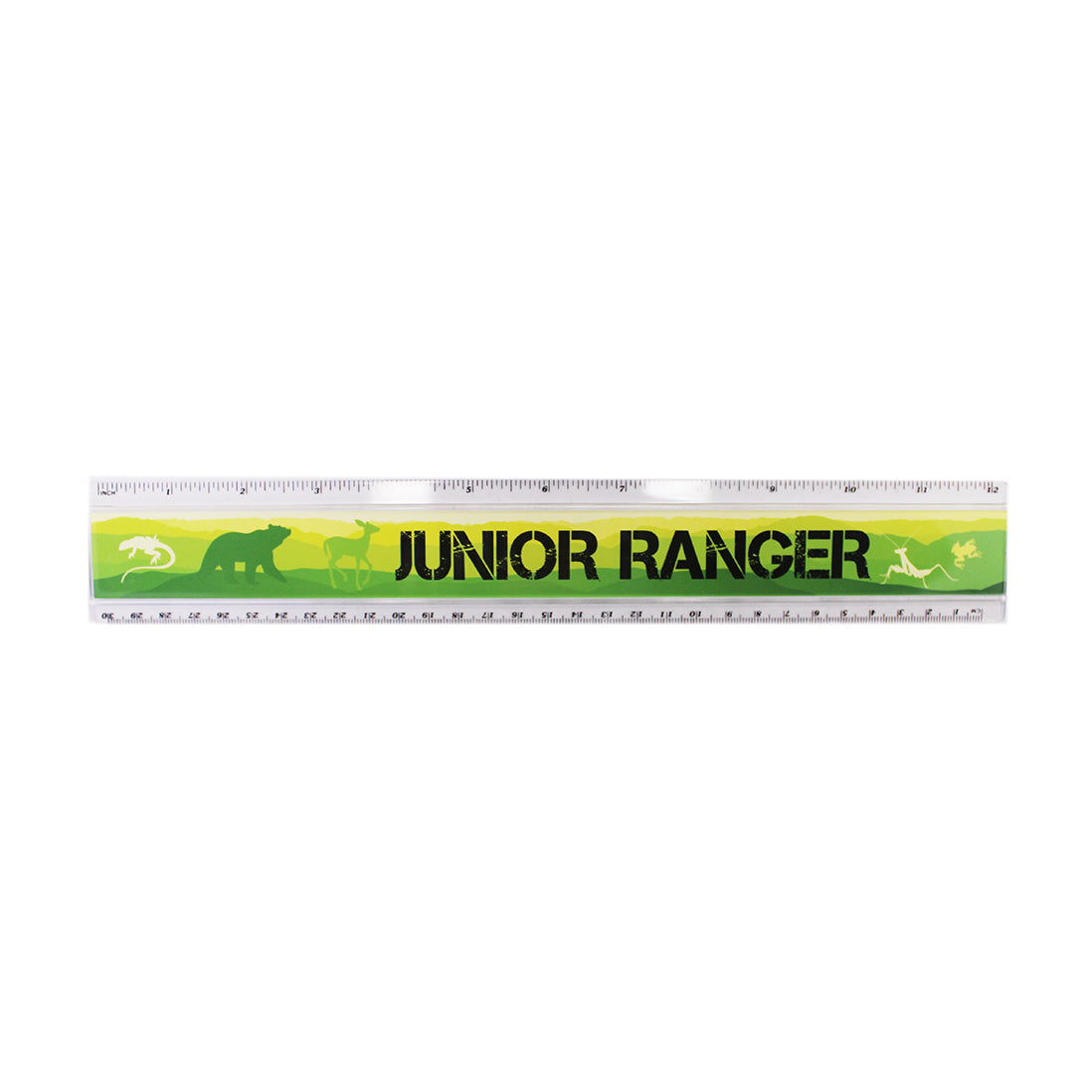 Junior Ranger Ruler, Green