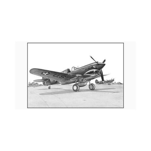 Signed P-40E Warhawk Matted Print, 19.25" x 12"