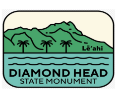 2x3 Diamond Head View Magnet