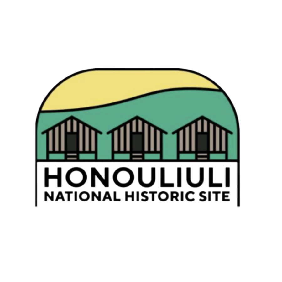 D3 Honouliuli Pin