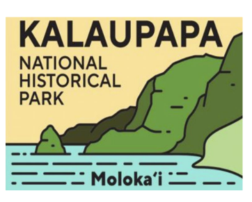 Kala 2x3 Magnet Yellow Background