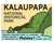 Kala 2x3 Magnet Yellow Background