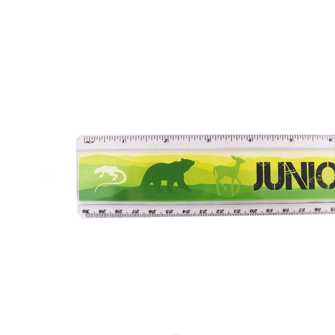 Junior Ranger Ruler, Green