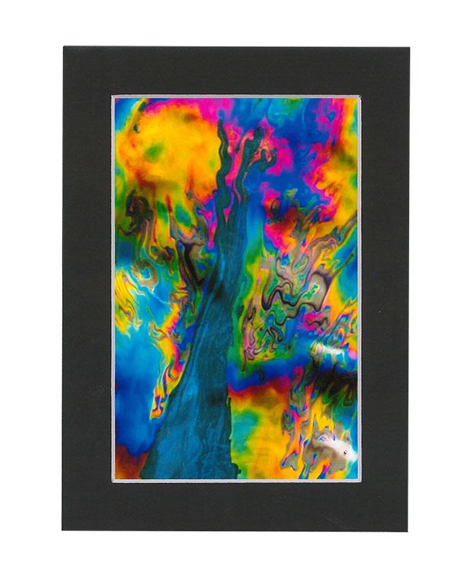 Tree of Life Oil on Water, 5x7