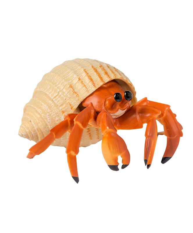 Hermit Crab Toy