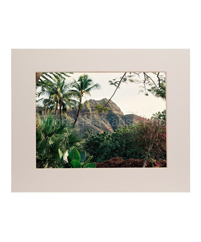 Diamond Head Foliage 5x7 Matted Photo Print